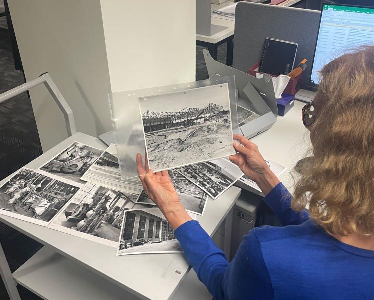 Judy Darwin examining a Holden photograph