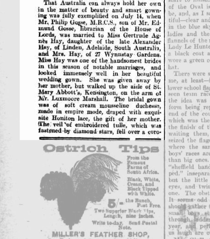  'Ladies Page.', Observer, 22 August 1908, p. 8. NLA: Trove   