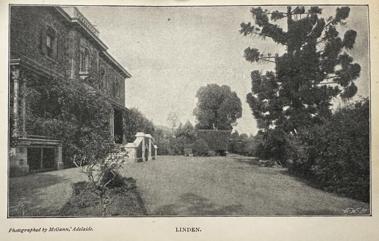 ‘Linden’ photographed by McGann, Adelaide. From the book Footprints.