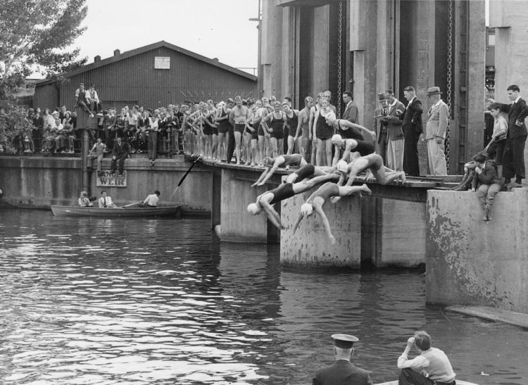 Swim Through Adelaide contestants diving into water from weir, 1941 